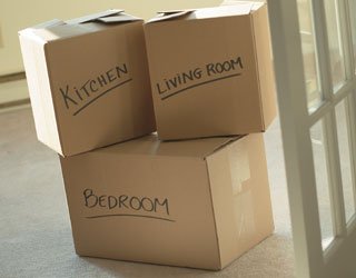 cardboard boxes